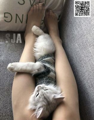 中国成人av_全集在线观看