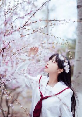 欧美在线完整高清观看_4K全集免费播放